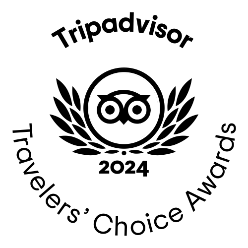 tripadvisor-traveler-award