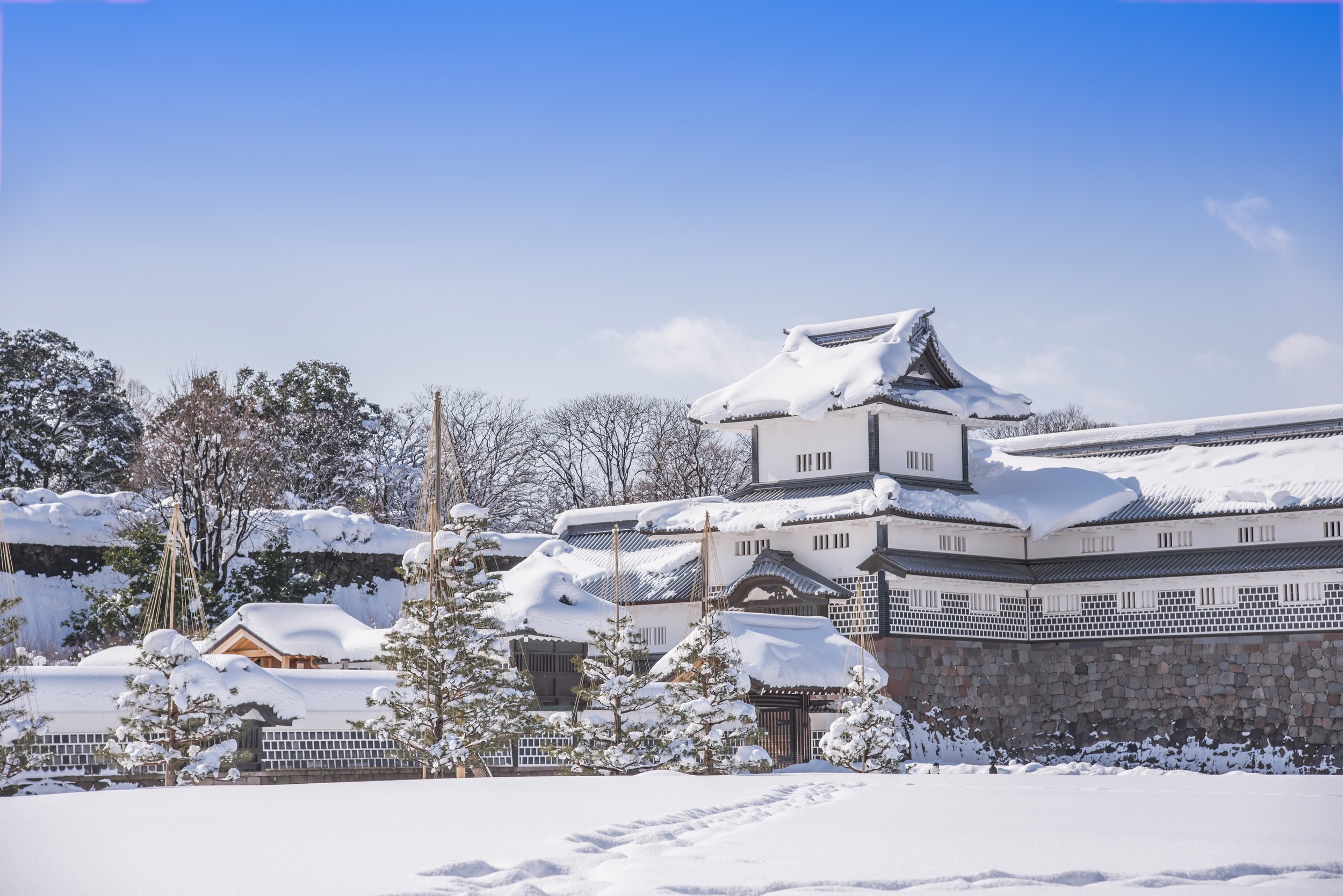 Cancellation Refund Policy