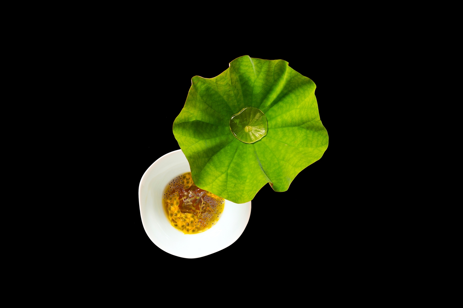 Den - Playful, Contemporary Japanese Dining