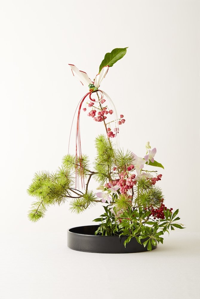 Award-Winning Ikebana