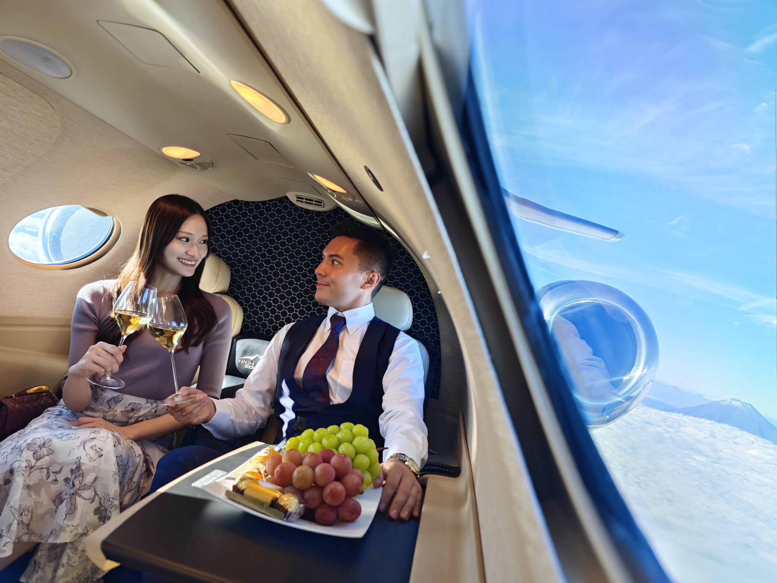 Exclusive Private Jet Sightseeing Tour