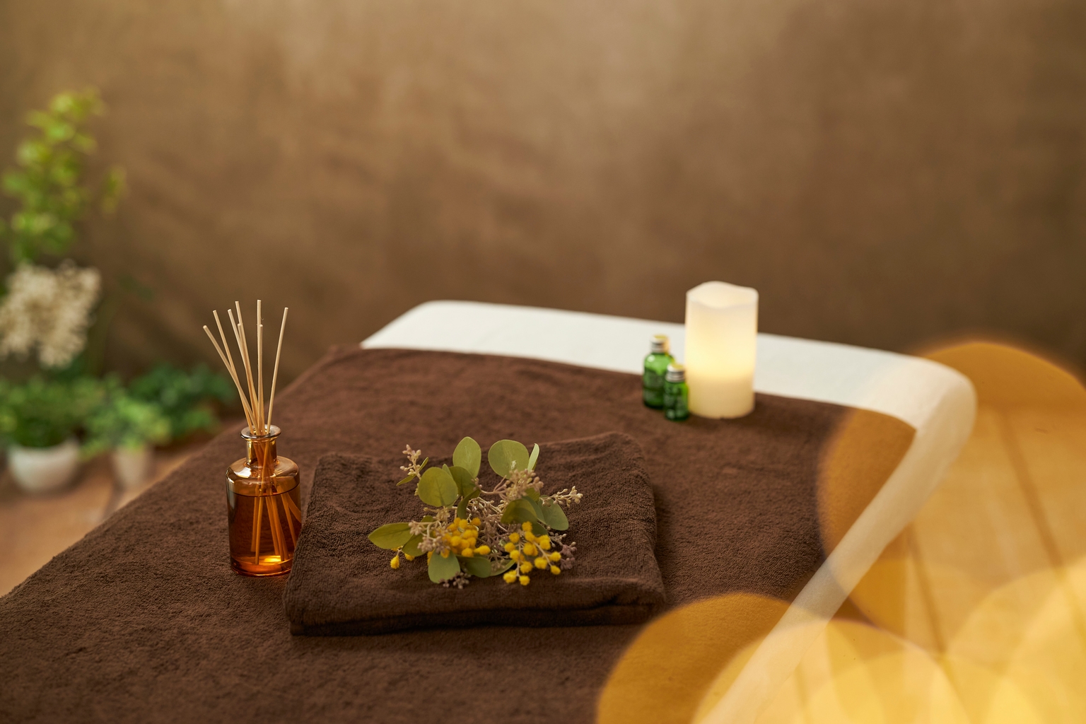 Exclusive Japanese Spa Retreat