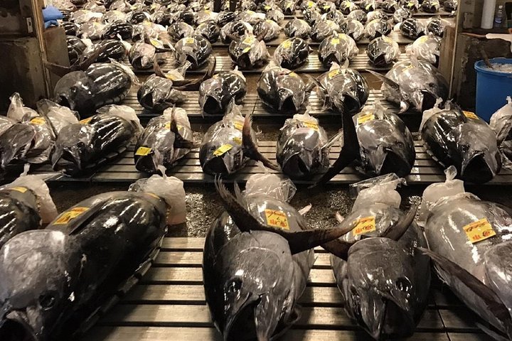 VIP Tuna Auction Experience