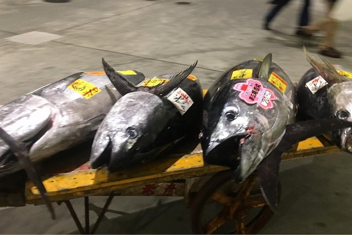 VIP Tuna Auction Experience