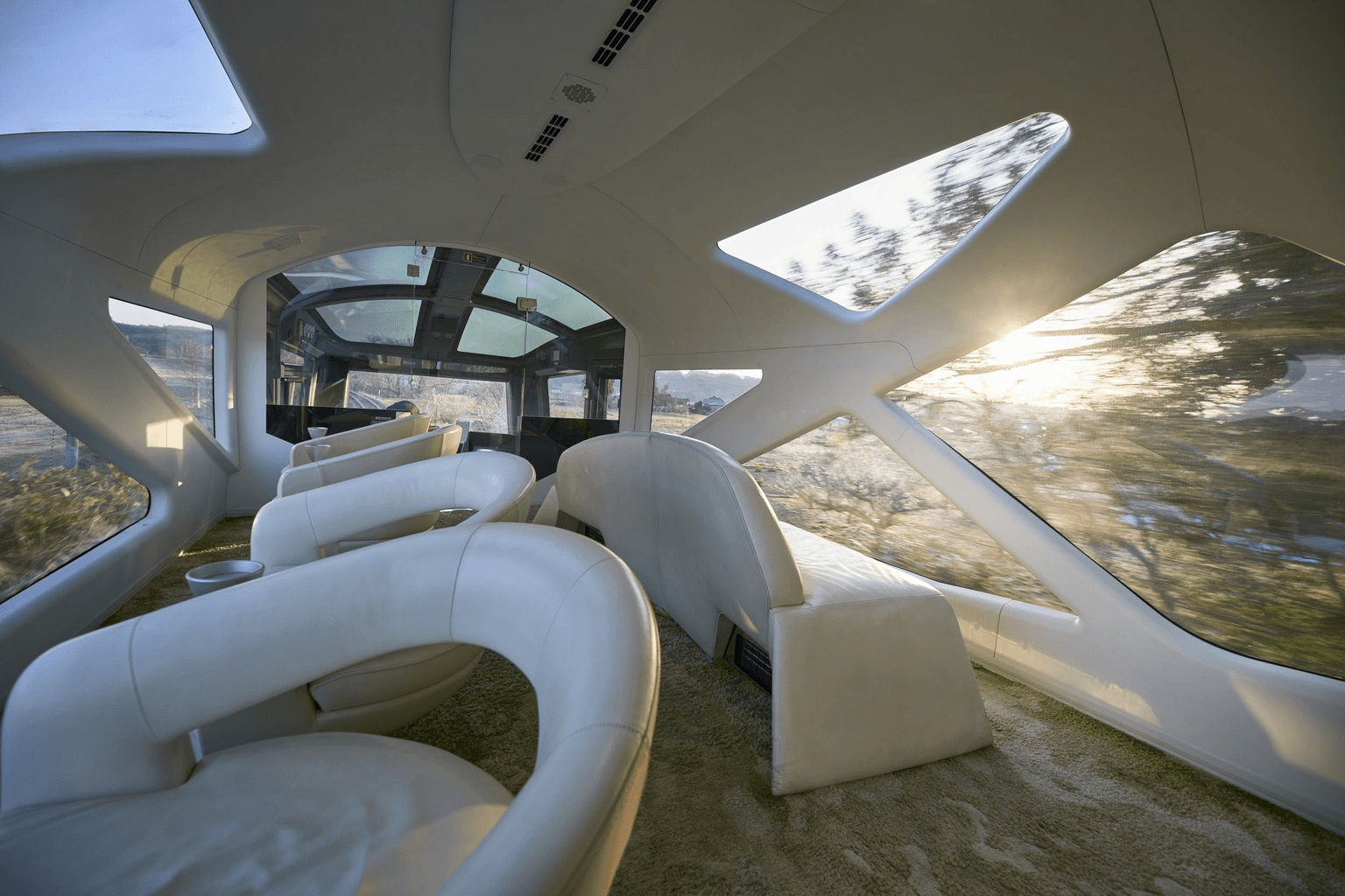 Lounge car Blue Moon