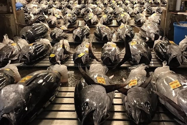 VIP Tuna Auction Experience